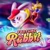 Fortune Rabbit