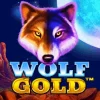 Wolf Gold